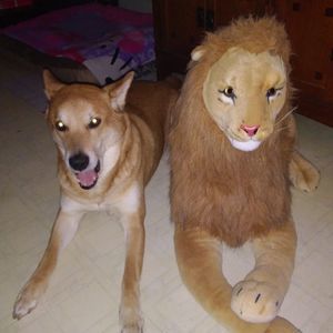 Meet your Posher, Angela